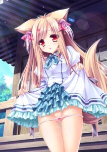 Rating: Explicit Score: 28 Tags: animal_ears kitsune lump_of_sugar mito_kohaku moekibara_fumitake pantsu panty_pull pussy_juice seifuku skirt_lift tail tayutama tayutama_2 User: k25c2yf