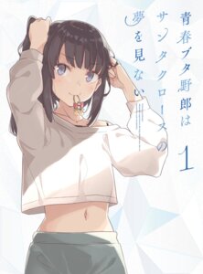 Rating: Safe Score: 20 Tags: disc_cover hirokawa_uzuki mizoguchi_keiji seishun_buta_yarou User: himeno_nanako
