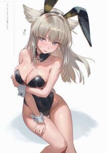 perlica (arknights) from arknights by c113oreo