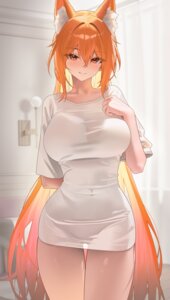 animal_ears dungeon_fighter ellin_meiji kitsune see_through tagme
