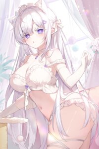 animal_ears bra garter lingerie pantsu pointy_ears tagme