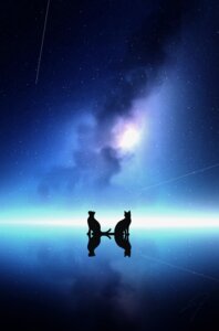 landscape neko nengoro