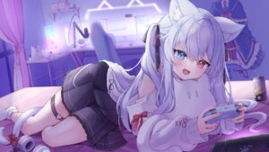animal_ears garter heterochromia