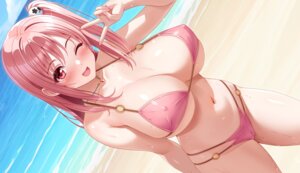 Rating: Questionable Score: 45 Tags: bikini cameltoe cygnus dead_or_alive erect_nipples honoka_(doa) swimsuits wet User: Arsy