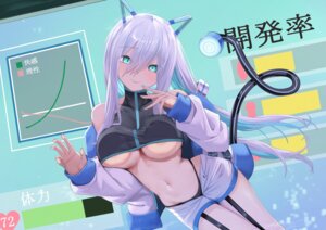 Rating: Questionable Score: 28 Tags: animal_ears areola kowloon nekomimi no_bra pantsu tail whisp User: kiyoe