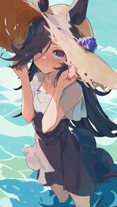 rice shower (umamusume) from uma musume pretty derby by yakousei a