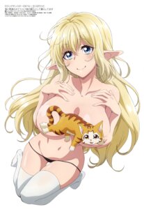 abe_tomoyuki aria_(beheneko) elf neko pantsu pointy_ears s-rank_monster_no_"behemoth"_dakedo_neko_to_machigawarete_elf_musume_no_pet_toshite_kurashitemasu tama_(beheneko) thighhighs topless