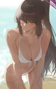 Rating: Questionable Score: 40 Tags: bikini blue_archive halo kakudate_karin swimsuits wet yidh_79 User: VigorousMMM