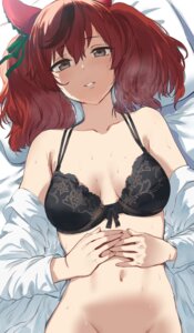 nice nature (umamusume) from uma musume pretty derby by hews