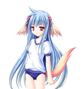 Rating: Questionable Score: 12 Tags: animal_ears buruma gym_uniform inumimi loli lump_of_sugar moekibara_fumitake nursery_rhyme shikishima_krile tail User: k25c2yf