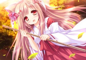 animal_ears kitsune lump_of_sugar miko mito_kohaku moekibara_fumitake tayutama tayutama_2