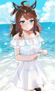 animal_ears bikini daring_tact_(umamusume) dress hitomeo402 see_through summer_dress swimsuits tail uma_musume_pretty_derby