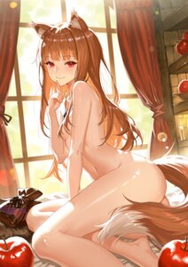 animal_ears holo naked owl_(ddap) spice_and_wolf tail