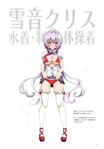yukine chris from senki zesshou symphogear by fujikawa daichi