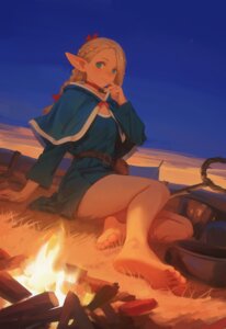 marcille donato from dungeon meshi by yao liao wang