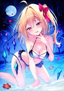 bikini flandre_scarlet nenobi_(nenorium) swimsuits touhou wet wings