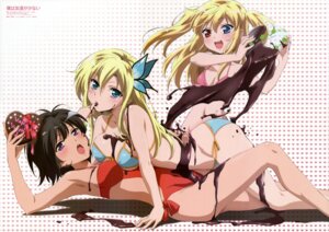 hasegawa kobato from boku wa tomodachi ga sukunai by morishima noriko