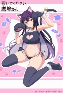 animal_ears bra haite_kudasai_takamine-san nekomimi pantsu string_panties tagme tail takamine_takane thighhighs