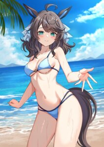 daring tact (umamusume) from uma musume pretty derby by harimoji