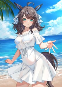 animal_ears bikini daring_tact_(umamusume) dress harimoji see_through summer_dress swimsuits tail uma_musume_pretty_derby