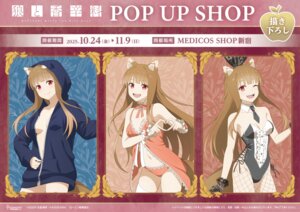 holo from spice and wolf