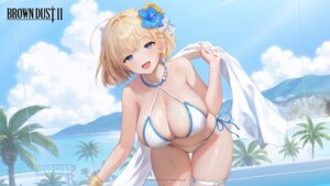 bikini brown_dust_ii garter justia origami swimsuits wallpaper wet