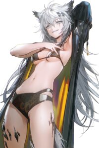 Rating: Questionable Score: 17 Tags: animal_ears arknights bikini drive_shot lappland_(arknights) swimsuits tail thong wet User: BattlequeenYume